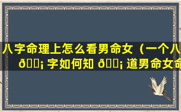 八字命理上怎么看男命女（一个八 🐡 字如何知 🐡 道男命女命）